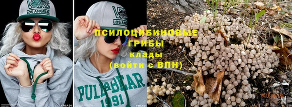 прущие крисы Алзамай