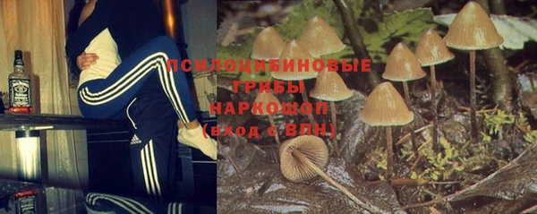 дживик Алексин
