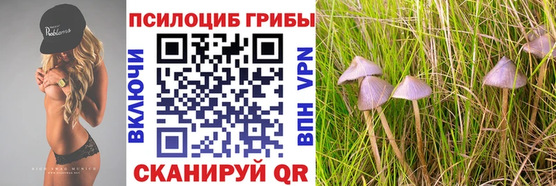 Галлюциногенные грибы MAGIC MUSHROOMS  дарнет шоп  Самара 