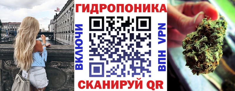 где купить наркотик  Самара  Бошки марихуана конопля 